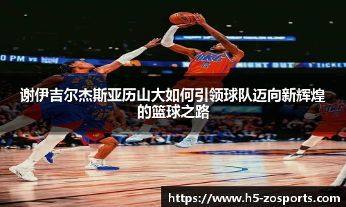 中欧体育