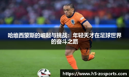 中欧体育