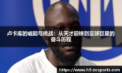 中欧体育官网