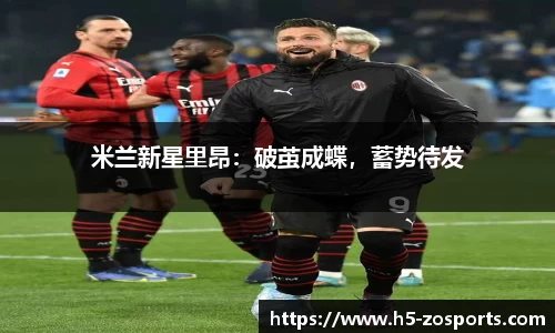 中欧体育
